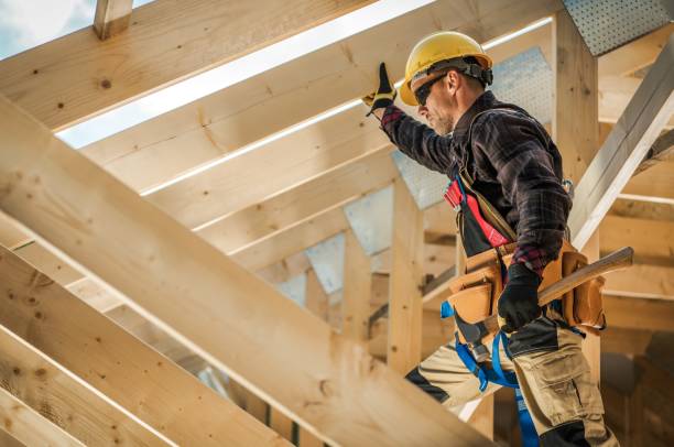 Best Roof Gutter Cleaning  in Portsmouth, VA