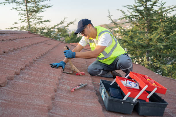 Best Storm Damage Roof Repair  in Portsmouth, VA