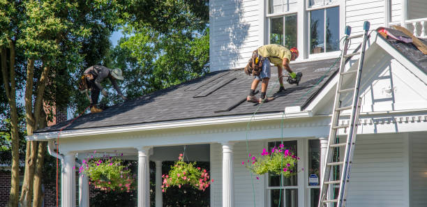 Roof Gutter Cleaning in Portsmouth, VA